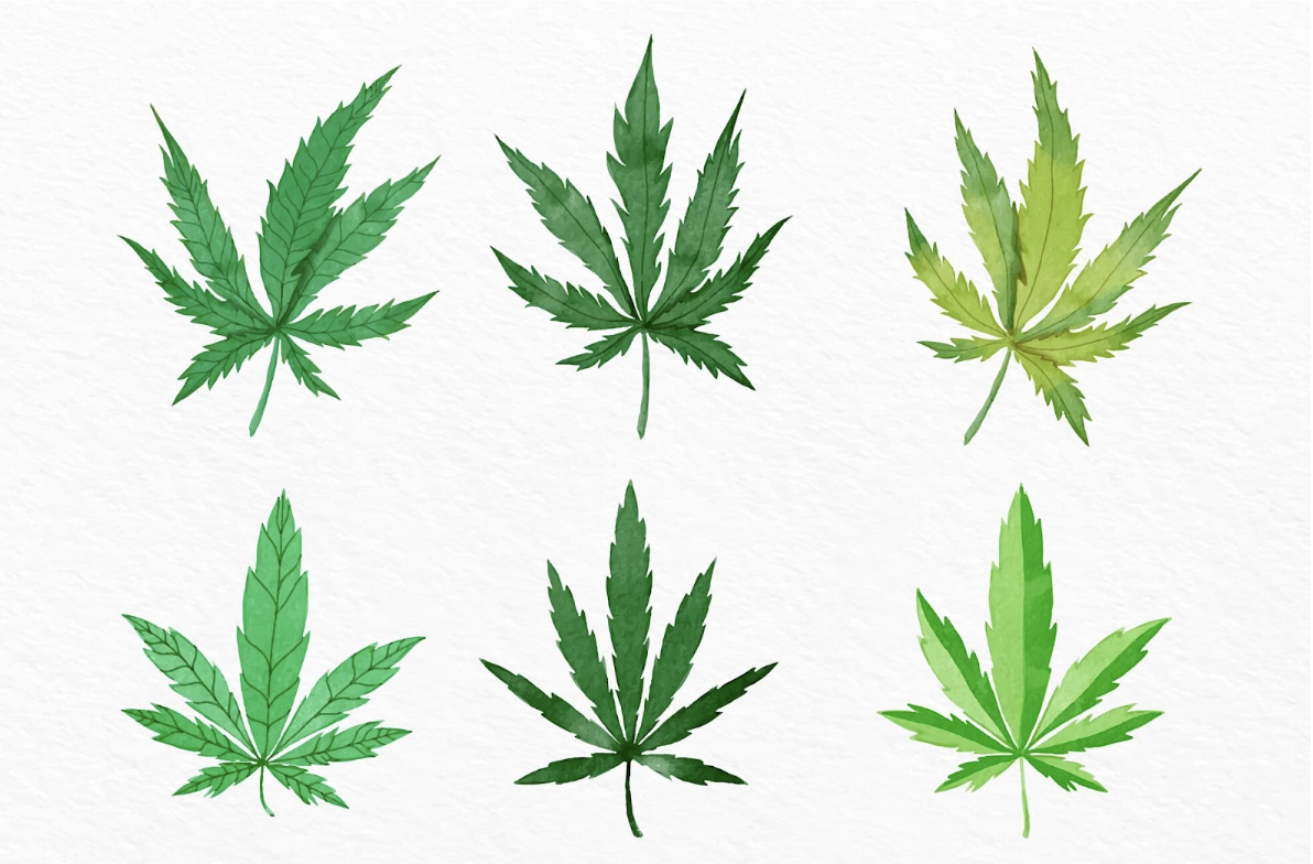 Правовые аспекты